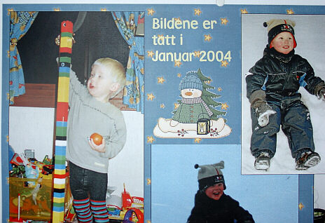 Copyright Vibeke Rostengen